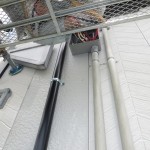IMG_3640.JPG