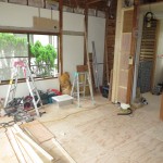 IMG_5242.JPG