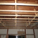 IMG_5347.JPG