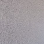 DSC_1531.jpg