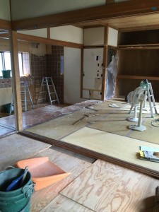 IMG_0323.JPG