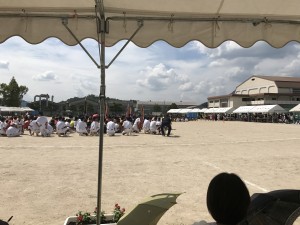 IMG_0738[1]