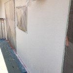 IMG_4564