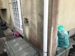 1-13-1 外壁・カビ・コケ発生状況_1