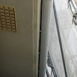 IMG_5889