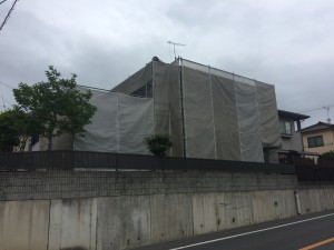 IMG_0440