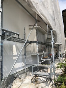 IMG_2599