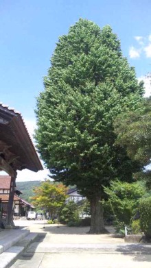 リフォーム・ノーマンのブログ