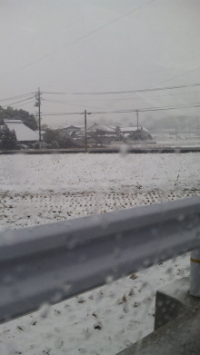 雪!雪!雪!
