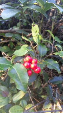 リフォーム・ノーマンのブログ