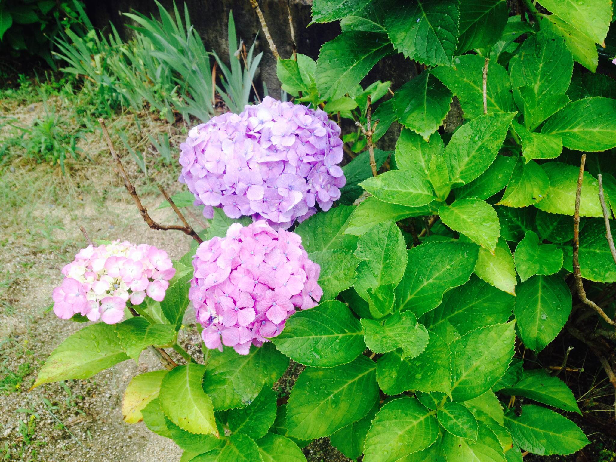 梅雨といえば リフォーム コバーン 東広島市 呉市周辺でリフォームするなら