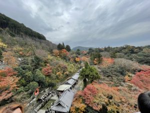 京都旅行☆